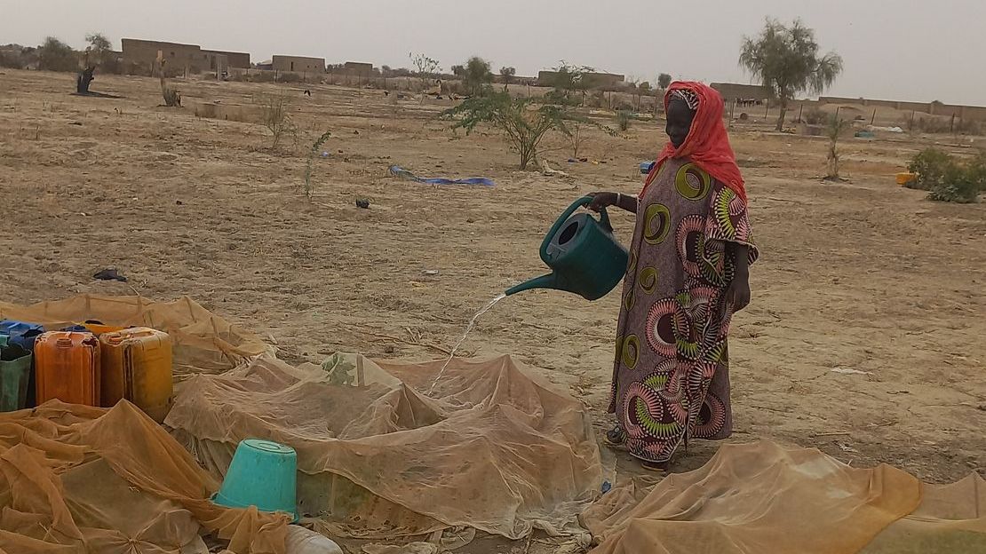 Au Mali, Fadimata arrose son potager. Elle et sa famille bénéficient du soutien de Handicap International face au changement climatique.