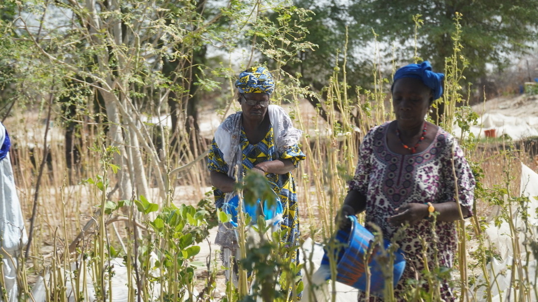 Au Mali, Kadia (à gauche), arrose son jardin en compagnie d'une autre agricultrice.