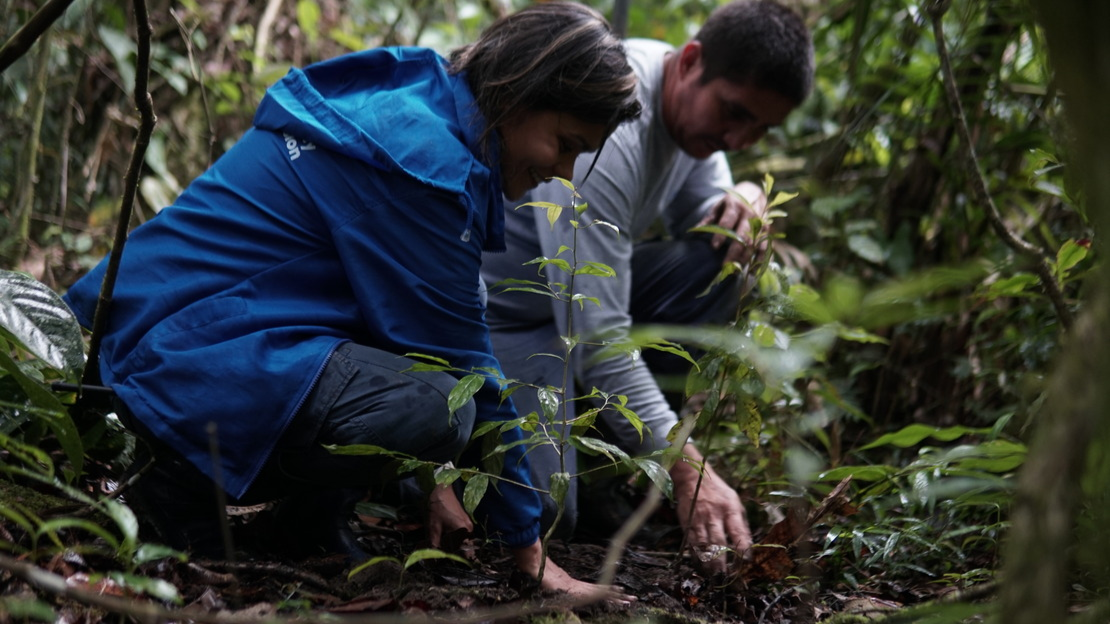 Une femme et un homme sont accroupis en forêt et plantent des jeunes pousses d'arbres.
