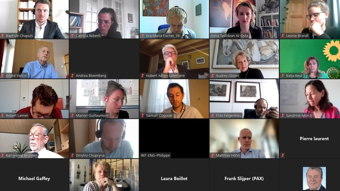 Capture d'écran de la conférence interparlementaire en ligne du 27 mai organisée par Handicap International