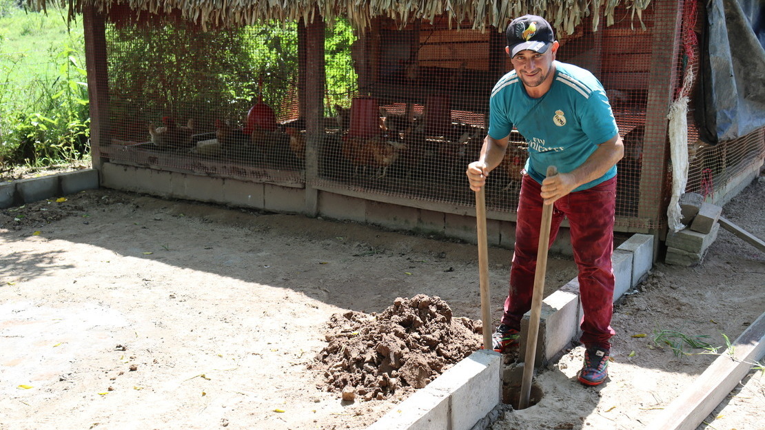 Dans le fond, un poulailler grillagé avec des poules qui picorent. Devant, Walter se tient en souriant, la main sur le manche d'un outil. Au sol, des briques disposées en rectangle former la base d'un enclos, devant le poulailler.