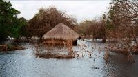 Inondations au Mozambique en janvier 2000 (image d'archive)