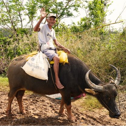 Aux Philippines, les victimes des typhons reprennent leur vie en main