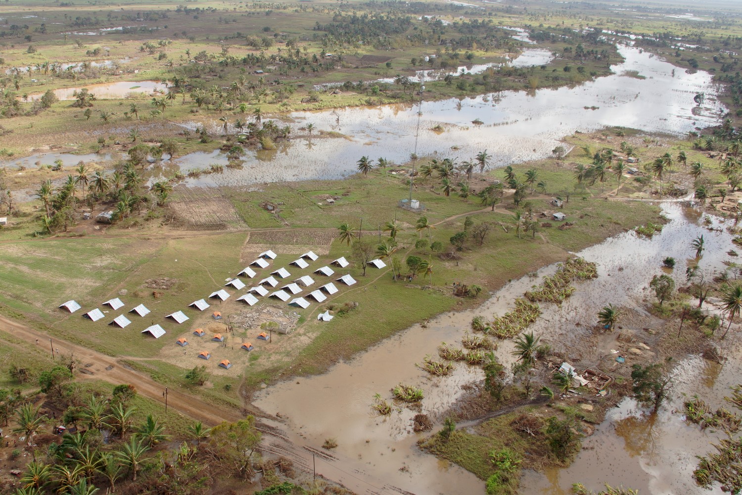 Conséquences du réchauffement climatique sur les humains : urgence et rôle des ONG