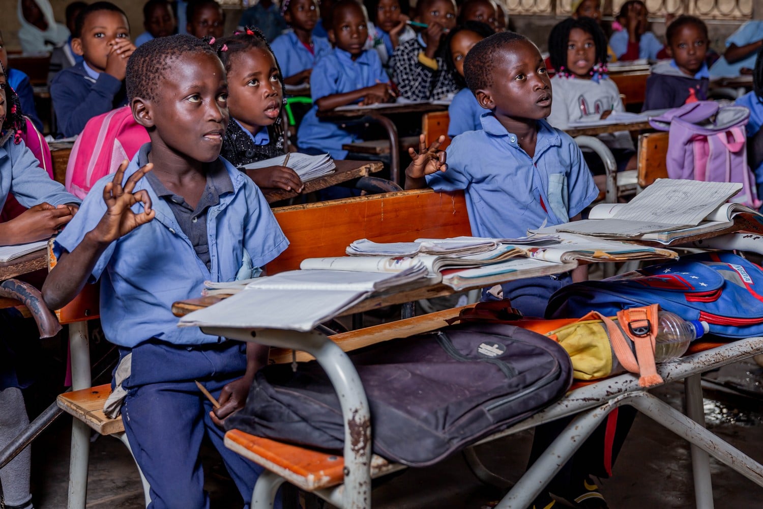 Comprendre les différents types de handicap et leurs enjeux