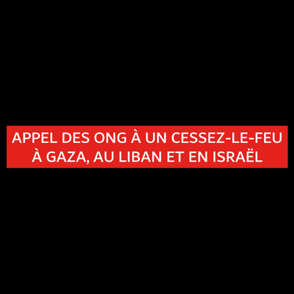 Appel à un cessez-le-feu à Gaza, au Liban et en Israël et à la fin de l'impunité dans un contexte humanitaire catastrophique