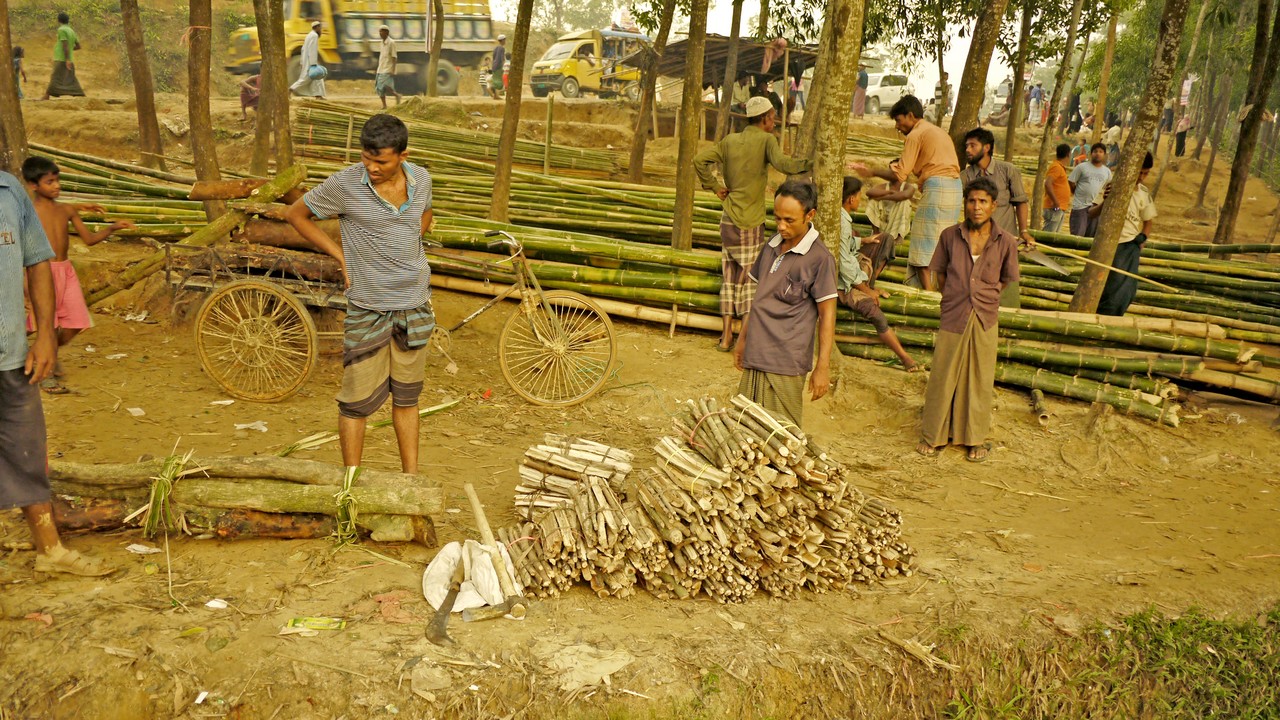 Réfugiés Rohingyas au Bangladesh