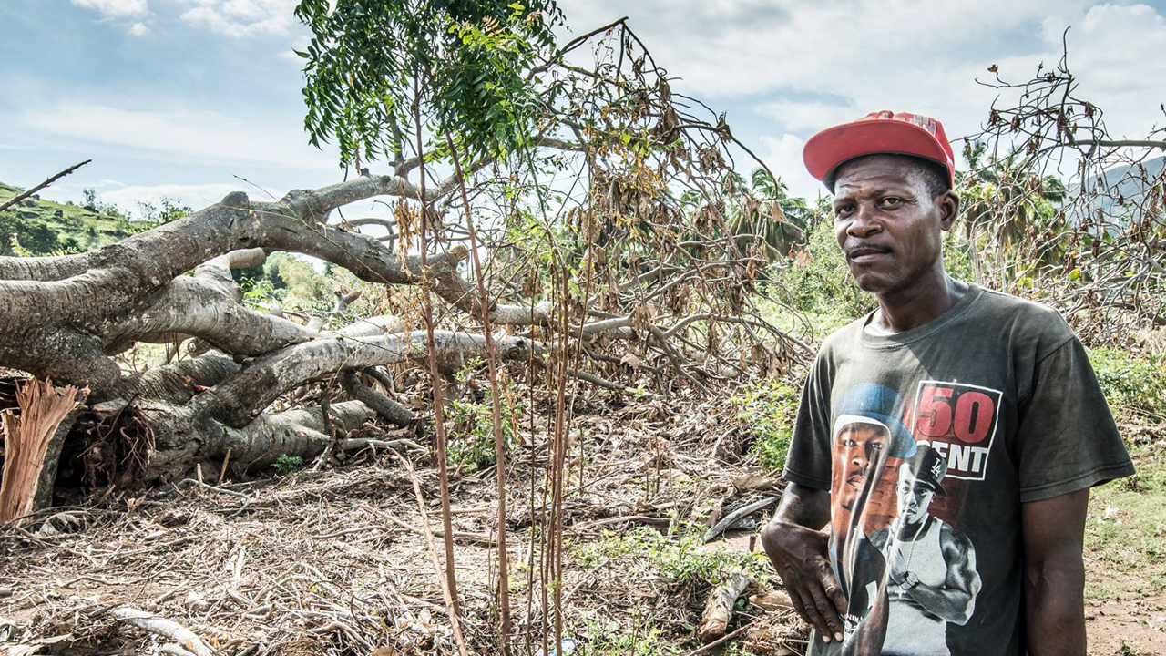 En Haïti, de nombreux villages ont vu leurs récoltes détruites par l'ouragan Matthew. Jean-Claude a perdu toutes ses cultures de manioc.