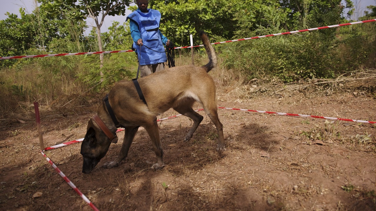 Jonathan et Katja, de Handicap International, forment un duo efficace dans le déminage des terres en Casamance au Sénégal.