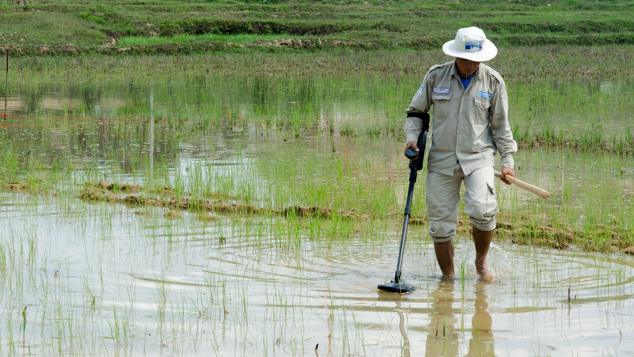 Un démineur de Handicap International dans un champ de riz au Laos