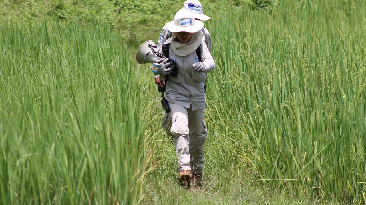 Démineurs de Handicap International au Laos.