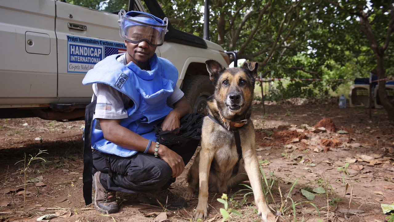 Rex, chien détecteur d'explosifs désormais retraité, ici avec Jonathan, son maître-chien démineur en Casamance au Sénégal